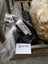 Track Adjuster for Doosan DH55 including a spring and a cylinder PN: 9144656 Carousel 7
