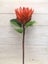 Artificial Protea (Orange) Carousel 1