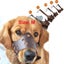 Loading Image 1 of 4