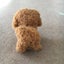Puppy that walks, wags it tail and makes a noise. Great Present. Cant have a dog Carousel 4