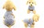 Dog Clothes Puppy Jacket Coat Soft Dog Shirts Pet Dog Coat Dog Range Sizes Carousel 3