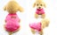 Dog Clothes Puppy Jacket Coat Soft Dog Shirts Pet Dog Coat Dog Range Sizes Carousel 5