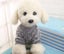 Dog Clothes Puppy Jacket Coat Soft Dog Shirts Pet Dog Coat Dog Range Sizes Carousel 10