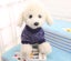 Dog Clothes Puppy Jacket Coat Soft Dog Shirts Pet Dog Coat Dog Range Sizes Carousel 12