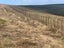 Fencing / Water / Earthworks Services Carousel 19