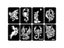 34pcs/Lot Dragon Wolf Tattoo Stencils Template For Men Arm Back Chest Paint Carousel 3