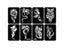 34pcs/Lot Dragon Wolf Tattoo Stencils Template For Men Arm Back Chest Paint Carousel 4