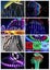 LED Strip Light LED Strip Light Carousel 8
