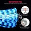 LED Strip Light LED Strip Light Carousel 16