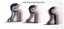 Extendable Curtain Rod - 160-300cm Carousel 8