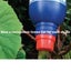 CUT'N'PASTE - ORIGINAL WEEDKILLER GEL - IN A 450ML APPLICATOR BOTTLE Carousel 6