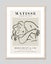 Matisse Sleeping Woman Galerie Berggruen & Cie Art Print Carousel 8