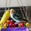 5 Pieces Bird Toys Multi functions Parrot Cage Bells Swing Chewing Swing Toys Carousel 9