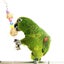 5 Pieces Bird Toys Multi functions Parrot Cage Bells Swing Chewing Swing Toys Carousel 12