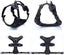PTN NEW Tactical Dog Harness Sale Sale Carousel 3