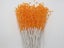 20 Bunch Pearl Flower Stem Beads Garland Sprays Bridal Bouquet Wedding Party Carousel 5