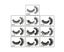 10 Pairs of 3D False Eyelashes Multicolor Base Card Mixed Natural Eyelash Set Carousel 3