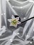 1ct Green Lab Grown Diamond with Belgium cutting Carousel 3