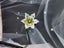 1ct Green Lab Grown Diamond with Belgium cutting Carousel 6