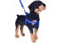 Nylon Pet Dog Harness No Pull Adjustable Dog Leash Vest Classic Running Leash Carousel 10