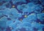 Wallpaper Miscellaneous 4: Multiple Patterns! Carousel 4
