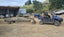Loading Image 4 of 4