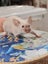 Stunning Female Baby Mice - NEW GIRLS AVAILABLE NOW Carousel 9