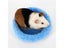 Guinea Pig Hamster House Mat Cute Animal Rabbit Squirrel Hamster Bed Washable Carousel 4