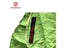 AEGISMAX Outdoor Camping Ultralight 95% Goose Down Mummy Sleeping Bag Carousel 7