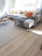 CH Flooring _carpet,wood Carousel 9