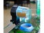 Automatic Fish Feeder NZ Clearance Carousel 12