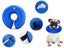 PTN NEW Dog Collar Sale Sale Carousel 10