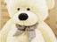 Teddy Bear Carousel 4