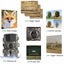 12MP HD Infrared Trail Game Camera Surveillance Cameras Scouting Hunting Camera Carousel 4