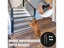 Dog Gate Carousel 6