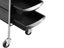 Hairdresser Trolley Work Cart Salon Hairdressing Trolley Carousel 4