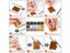Leather Rivets Double Cap Rivets Kits 360PCS Carousel 9