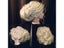 70cm Hairdresser Training Head Female Dummy Head For Hairstyles Practice Carousel 8