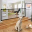 Dog Gate Carousel 5