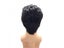 Mens Rock Singers Elvis Aron Presley Cosplay Wig Party Elvis Presley Black Carousel 4
