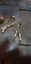 Vintage Goldtone, Pearl and Rhinestone Earrings Carousel 3