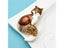 Rhinestone Enamel Fox Brooches For Women Animal Party Brooch Pins Gifts Carousel 6