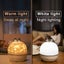 Projector Light with Bluetooth Speaker, Rechargeable, 360 Rotation, 12 Scenes Carousel 7