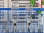 Automatic Drinking Bottle for Rabbit Guinea Hamster - NEW Carousel 3