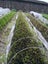 Birdnetting, Insect net, weed mat, FIBREGLASSSALE! Carousel 2