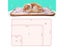 Winter Soft Pet Blanket Dog Cat Bed Mat With Foot Print Coral Fleece Carousel 7