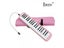 IRIN 37 Key Melodica Piano Style Harmonica Pianica Carrying Bag Musical Carousel 4