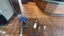 Gardna Carpet Cleaning Ltd Carousel 18