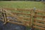 Loading Image 2 of 14