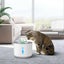 Brand New Electric Cat Water Fountain Carousel 6